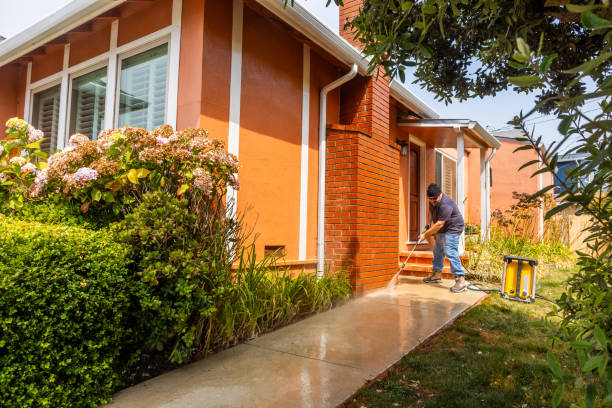 Best Local Pressure Washing Services  in Yorkvle, IL