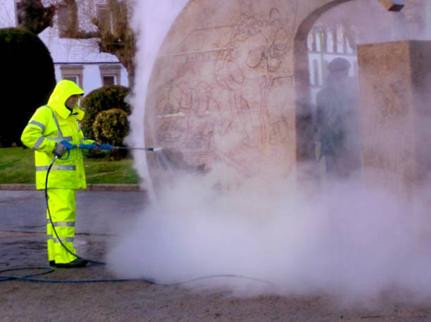 Best Local Pressure Washing Services  in Yorkvle, IL