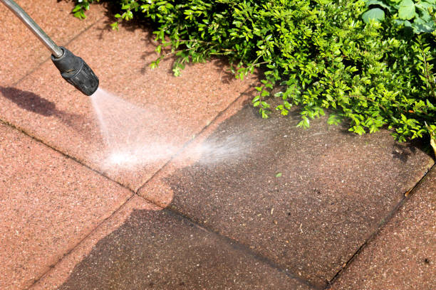 Best Roof Pressure Washing  in Yorkvle, IL